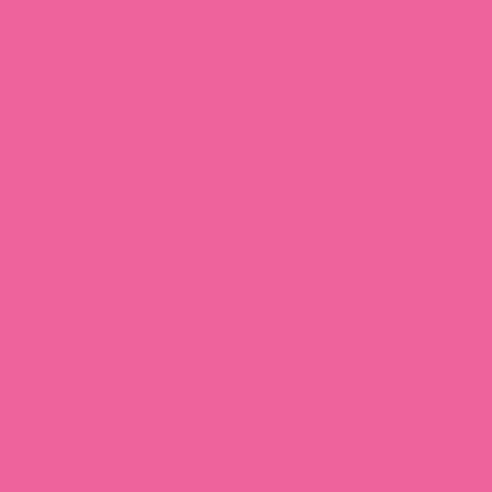 Realbrush Pigment Antique Pink 212U