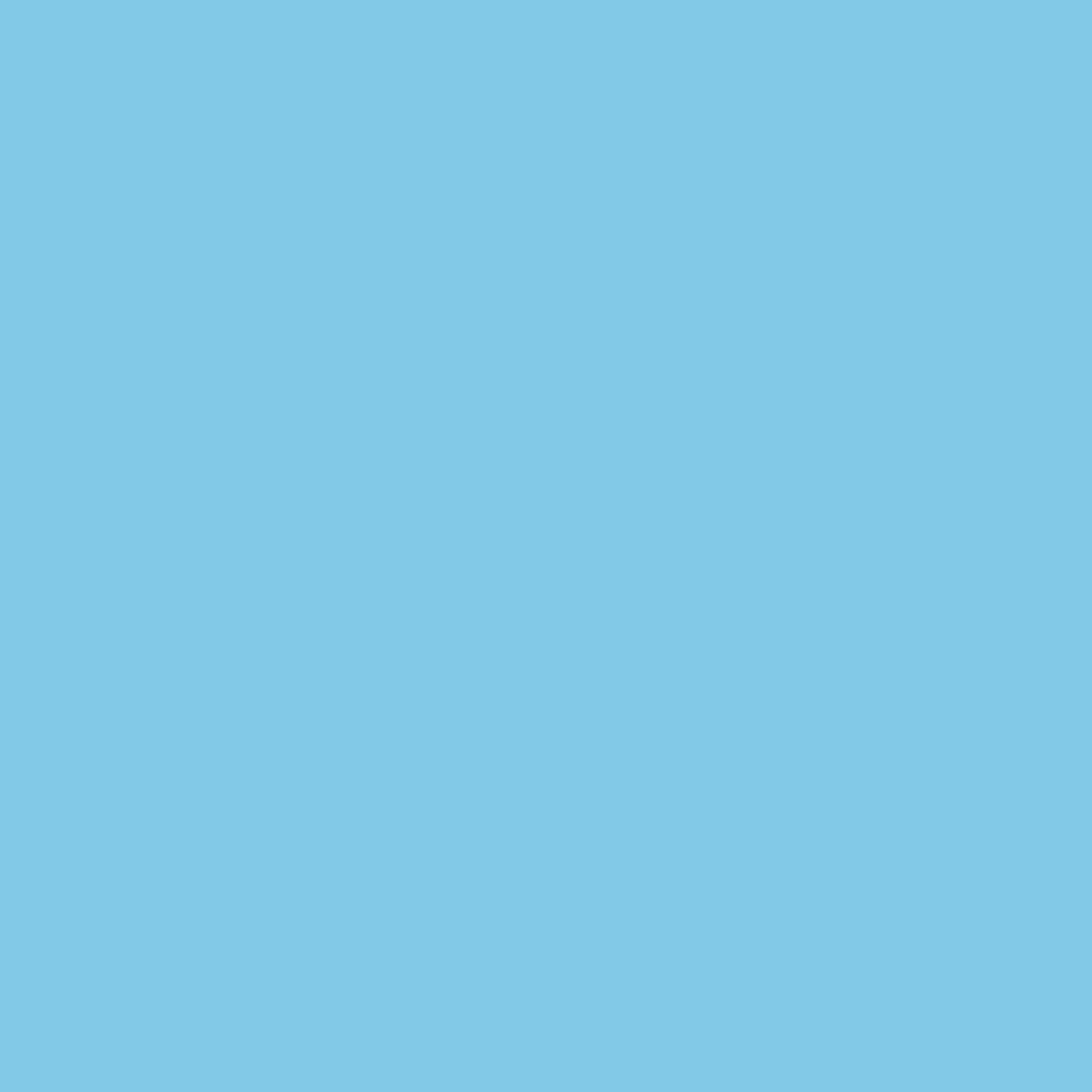 Realbrush PRO Arctic Blue 264