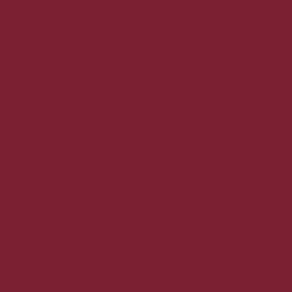 Realbrush Pigment Burgundy 215U