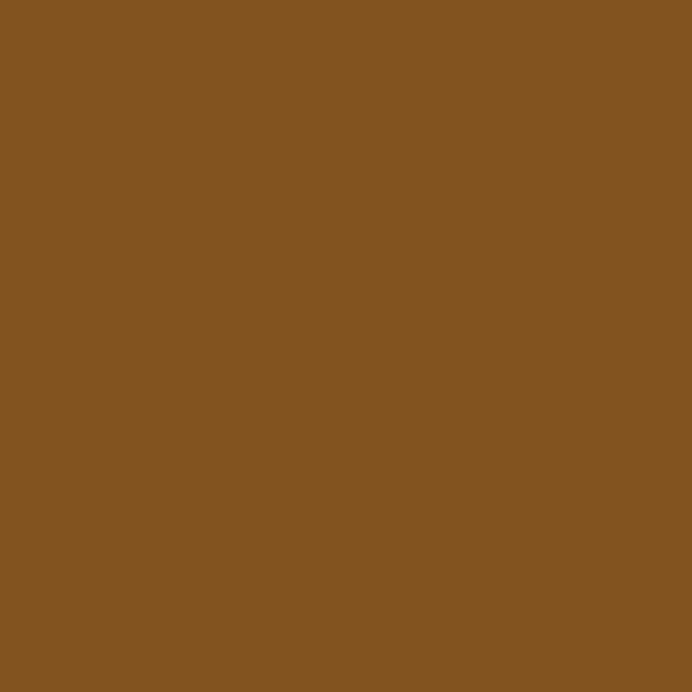 Realbrush Pigment Cinnamon 730U