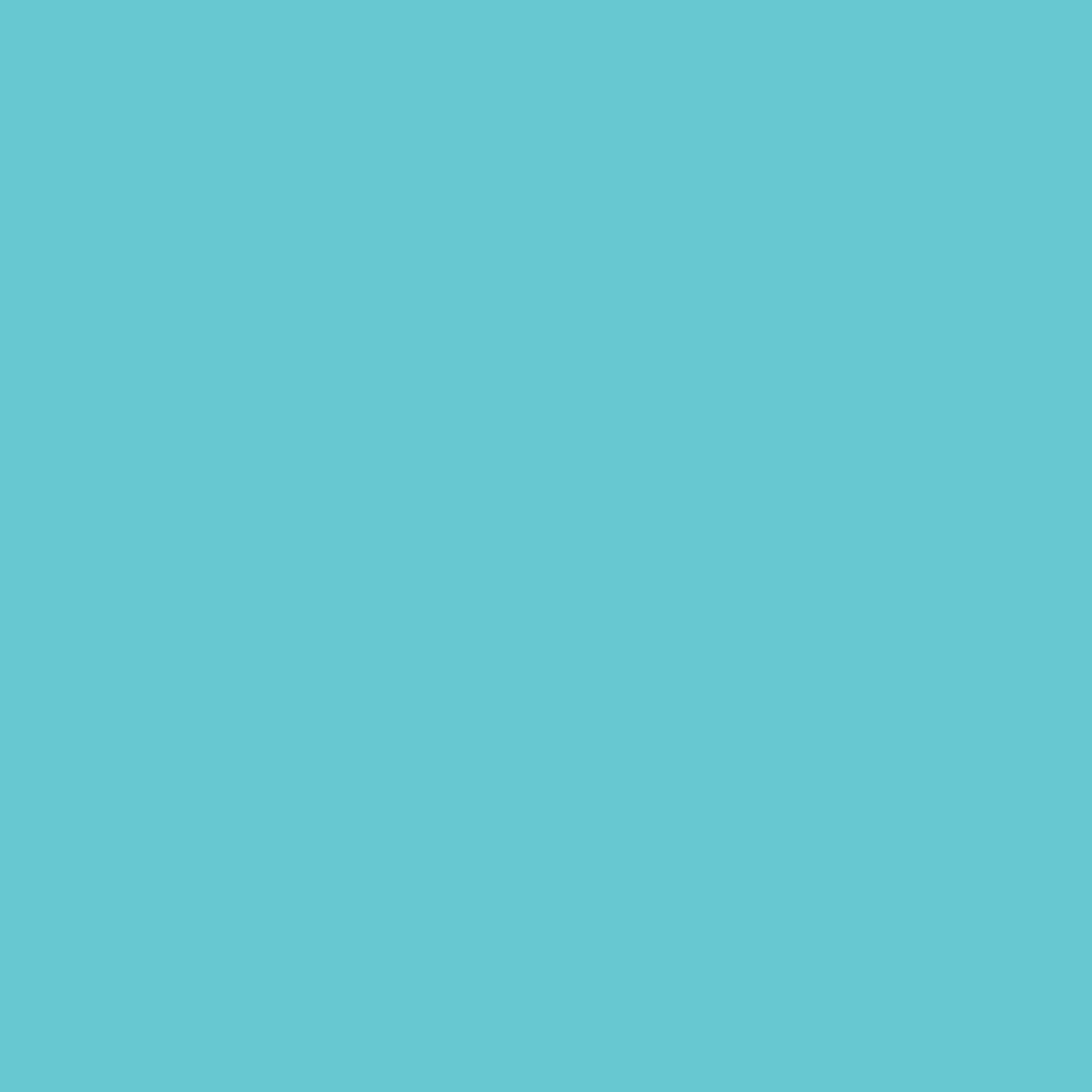 Realbrush Pigment Cool Aqua 630U