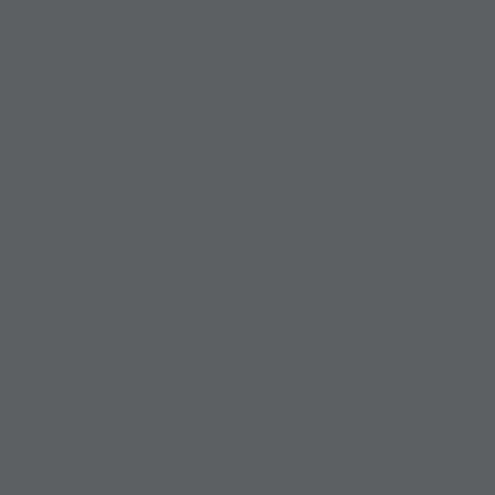 Realbrush Pigment Cool Grey 3.429U
