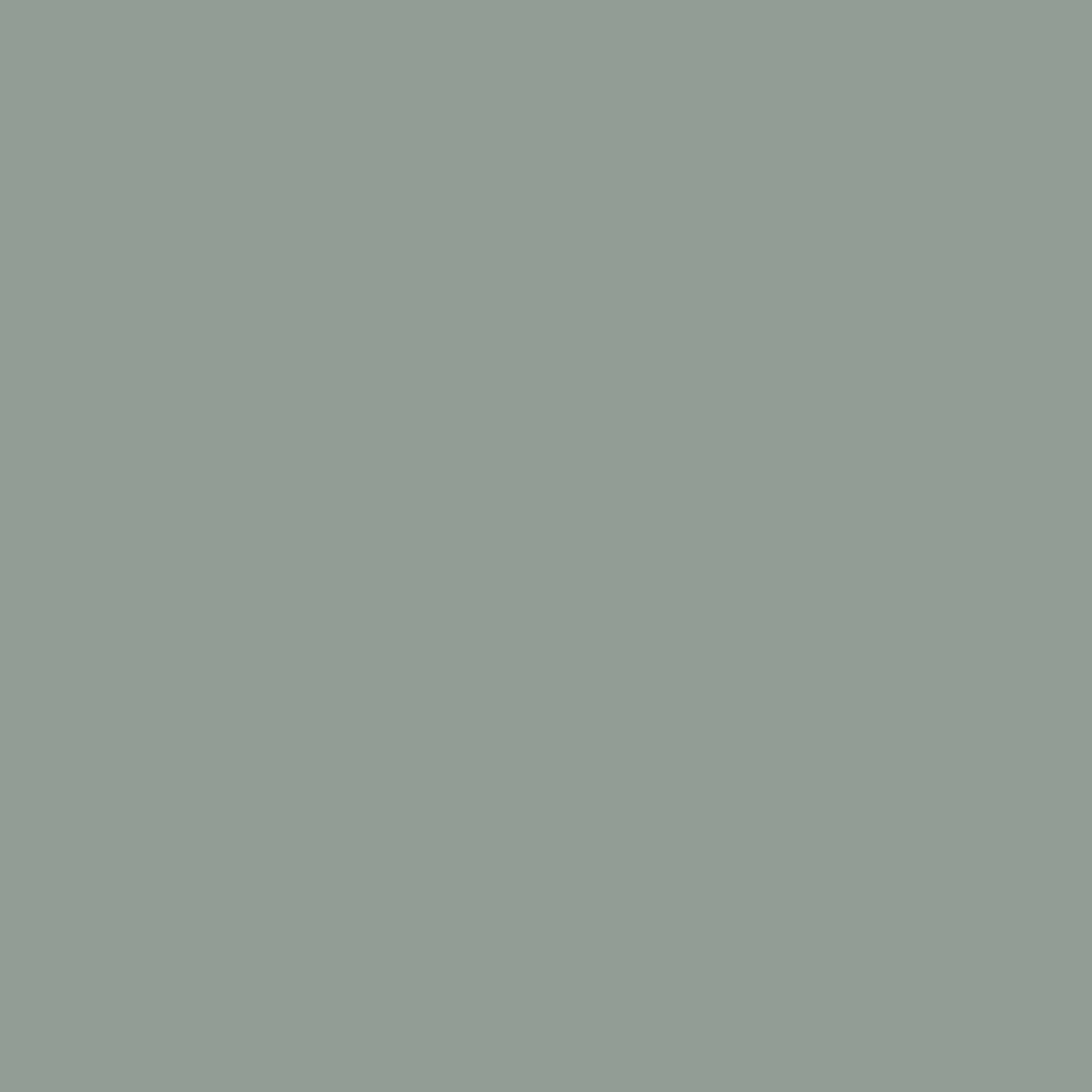Realbrush PRO Cool Grey 1.160
