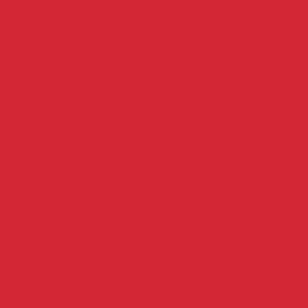 Realbrush PRO Fire Red 092