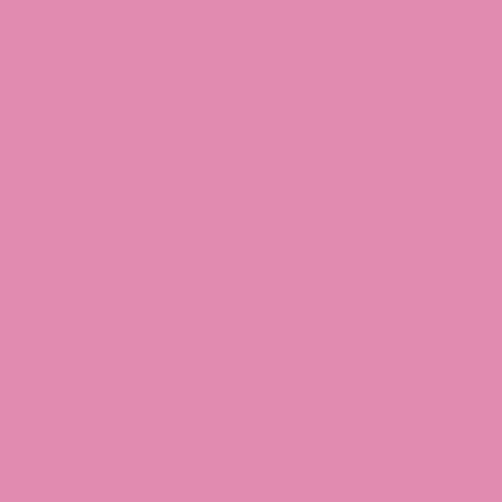 Realbrush PRO Pale Pink 220