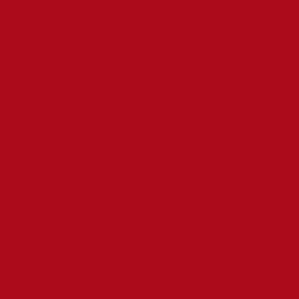 Realbrush PRO Red 209