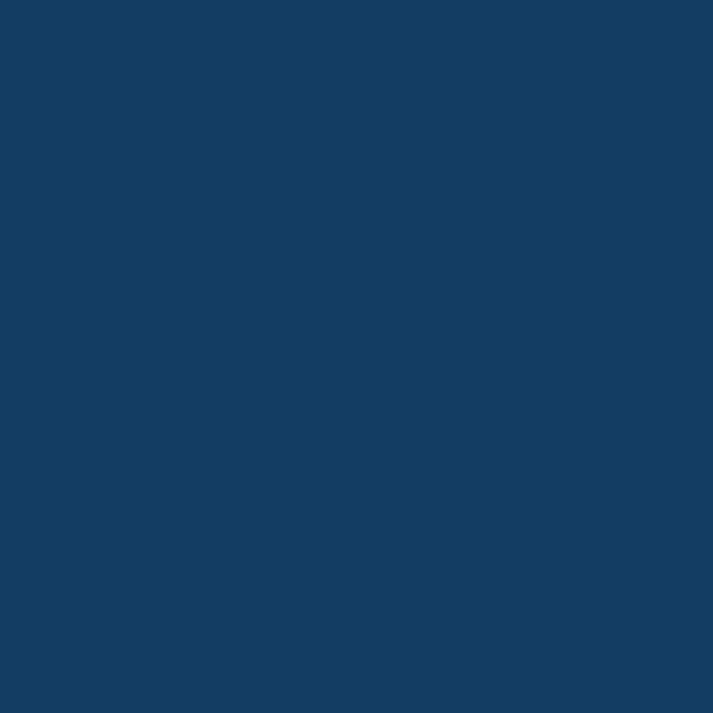 Realbrush Pigment Sapphire Blue 294U
