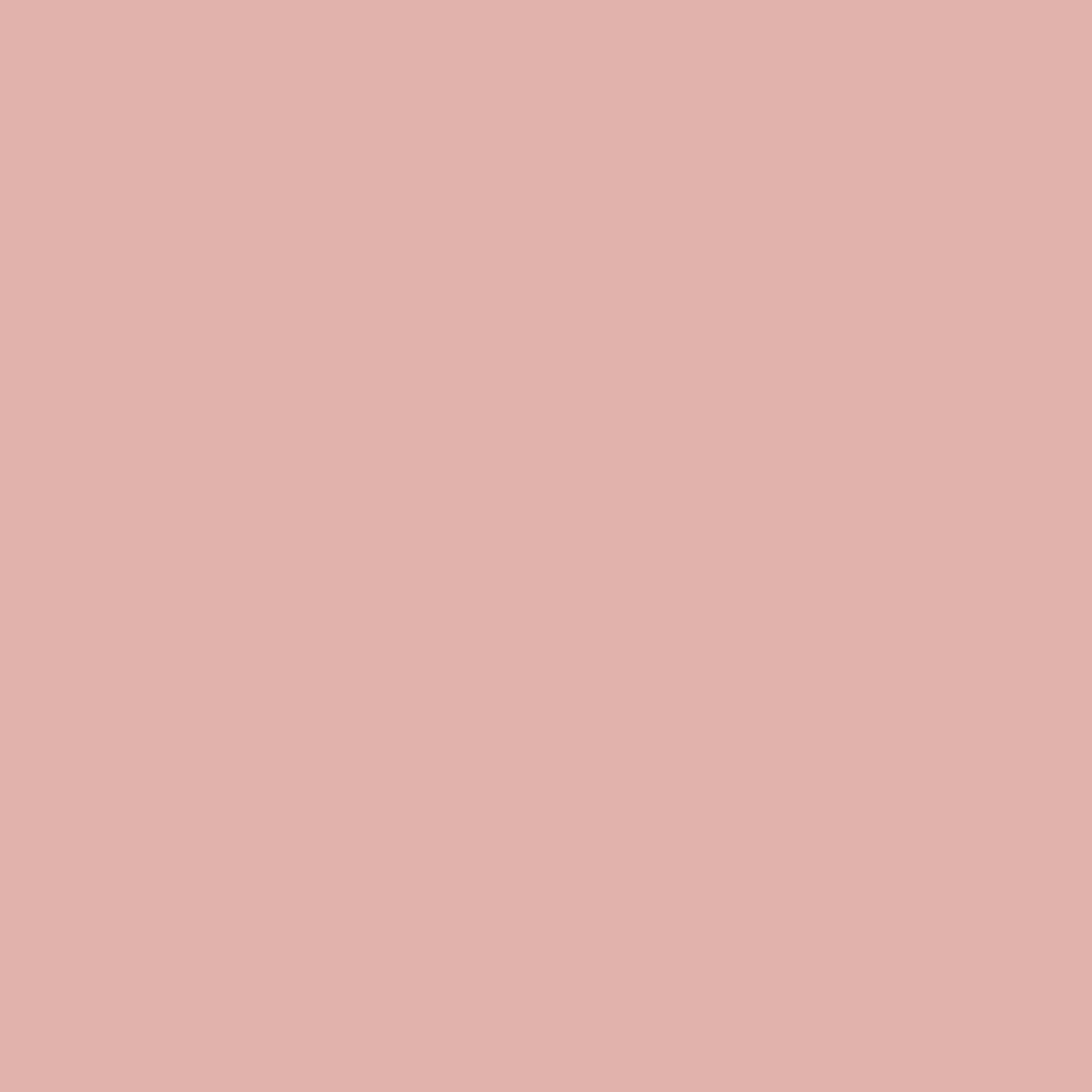 Realbrush PRO Soft Peach 1.200