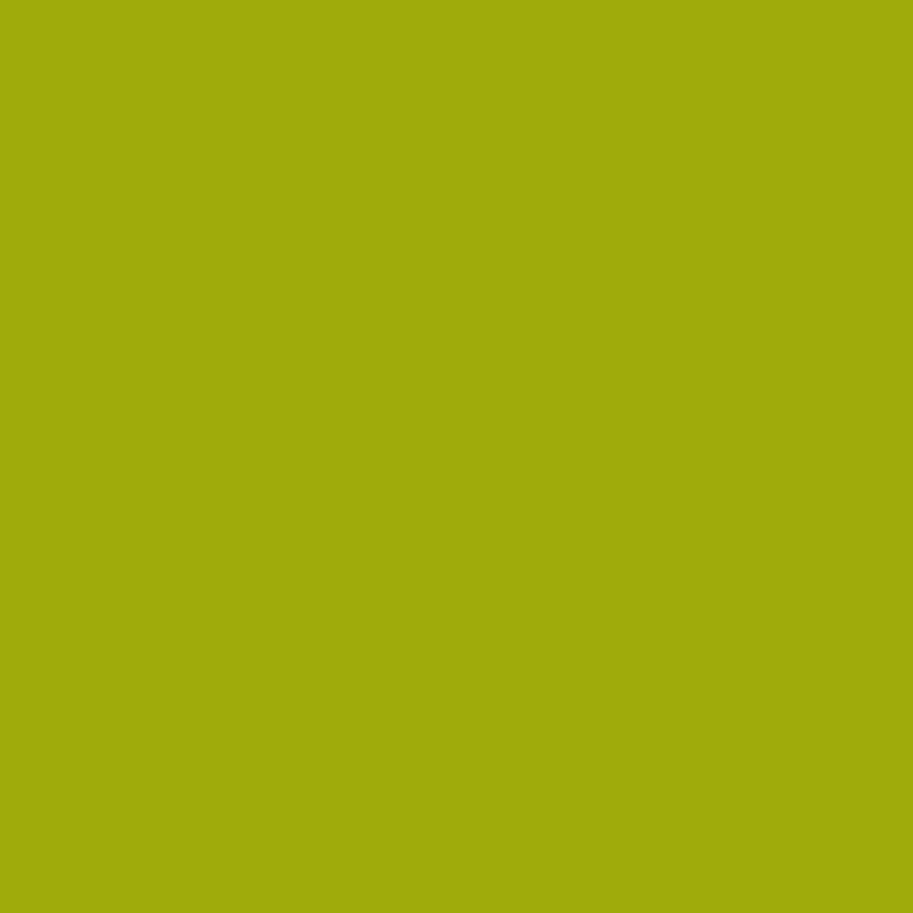 Realbrush PRO Sulphur Yellow 269