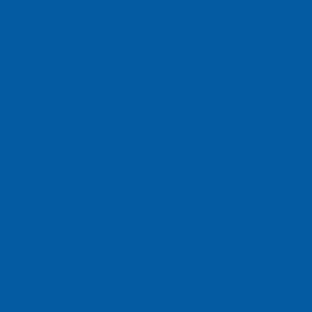 Realbrush Pigment True Blue 2935U
