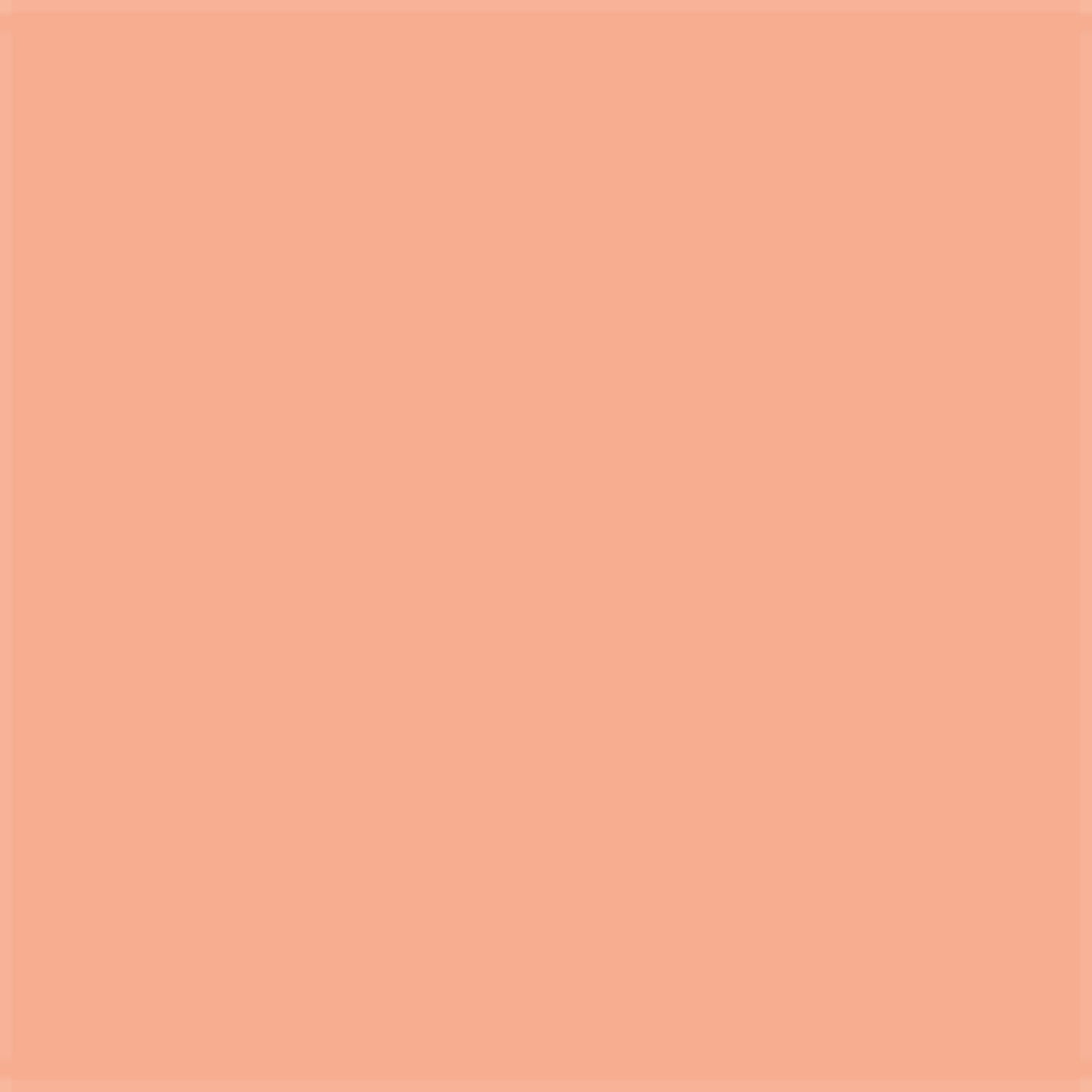 Karin Pigment DécoBrush Soft peach 1.169U marker