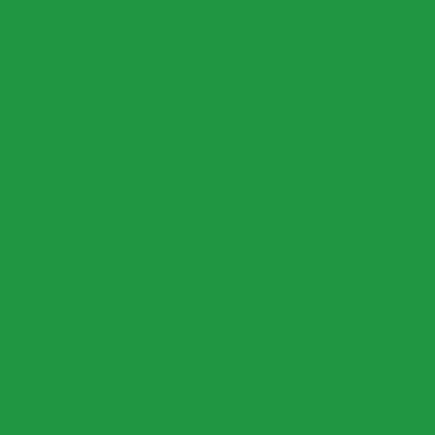 Karin Brushmarker PRO NEON Green