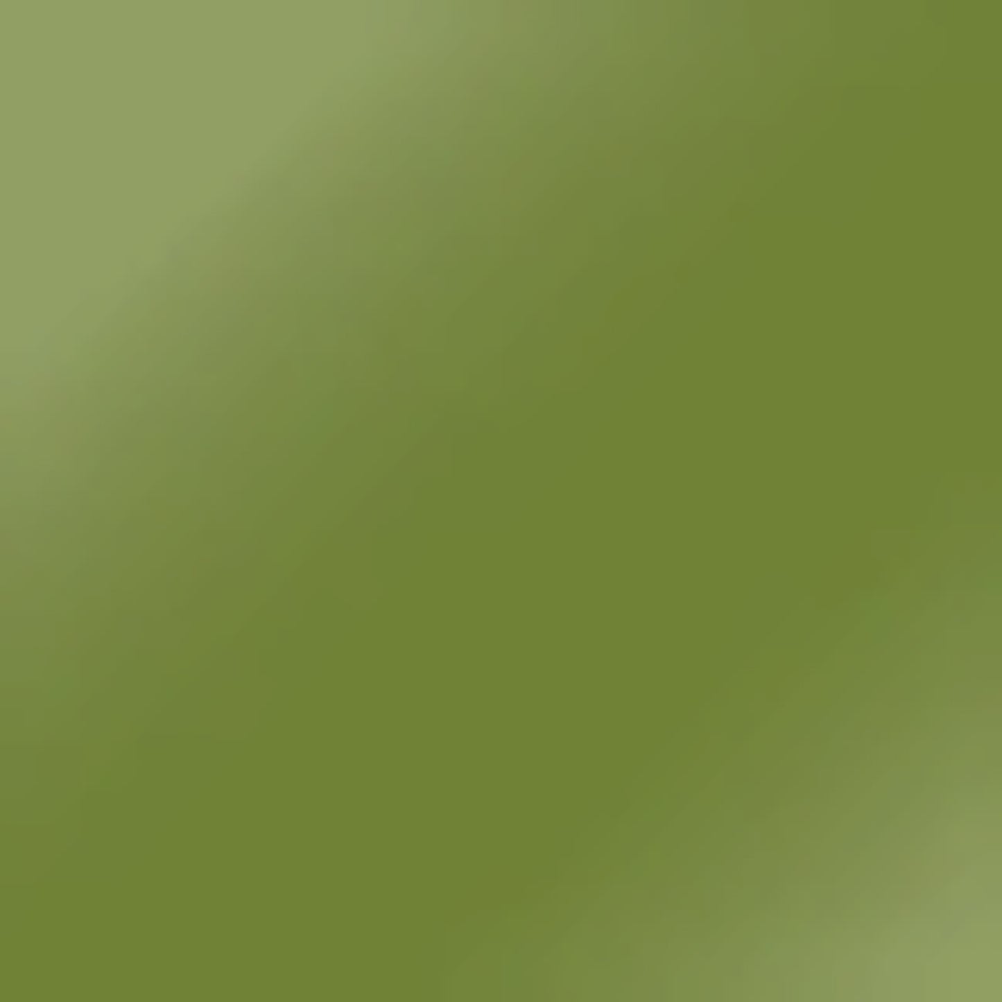 Karin DécoBrush Metallic Light Green 8536
