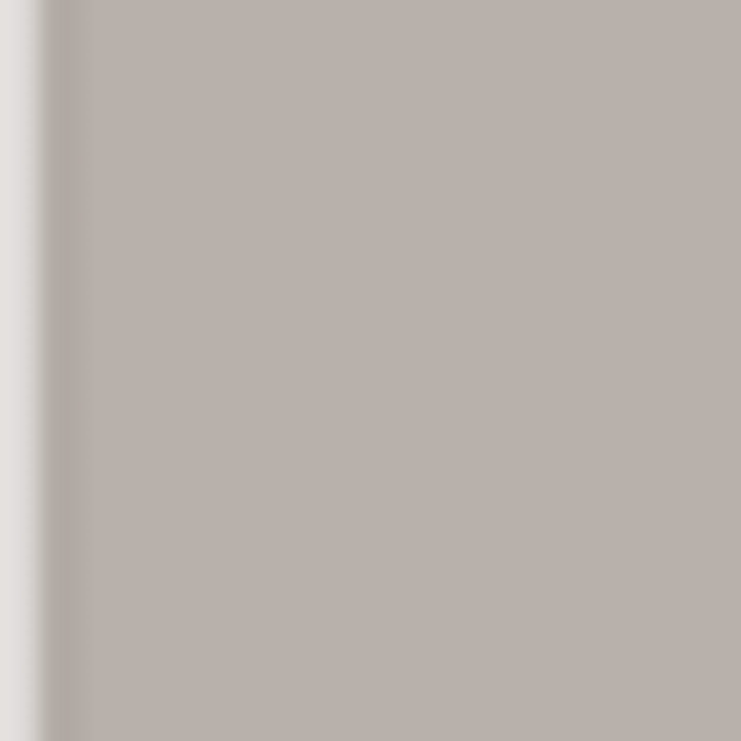 Karin Brushmarker PRO warm grey 1.278