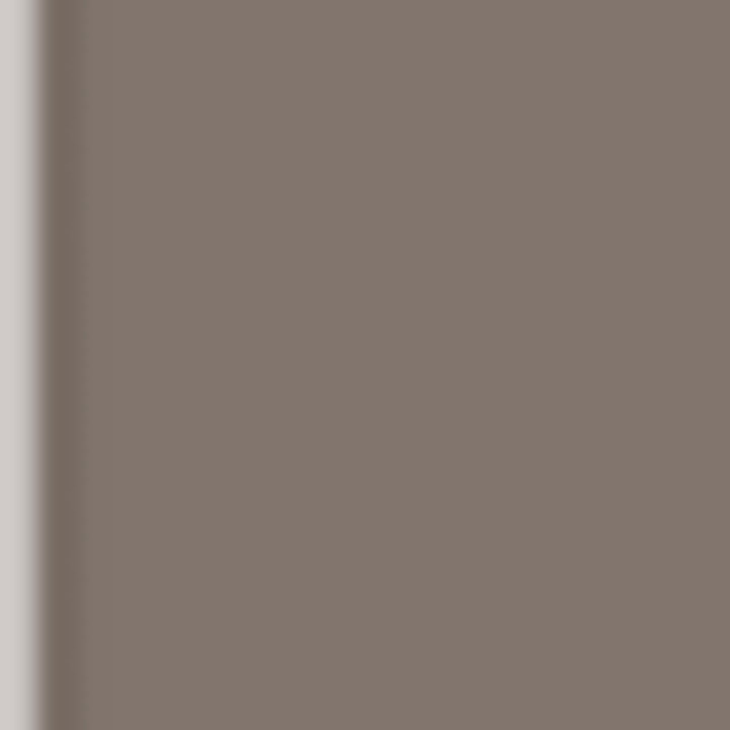 Karin Brushmarker PRO warm grey 3.276