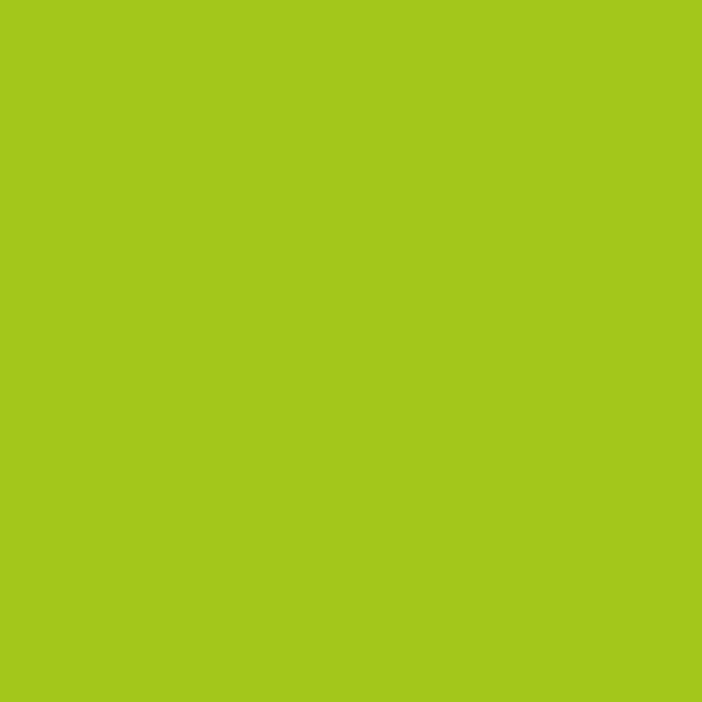 Realbrush Pigment Lime Green 397U