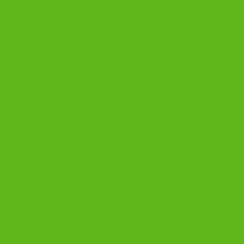 Realbrush PRO Neon Light Green 6110