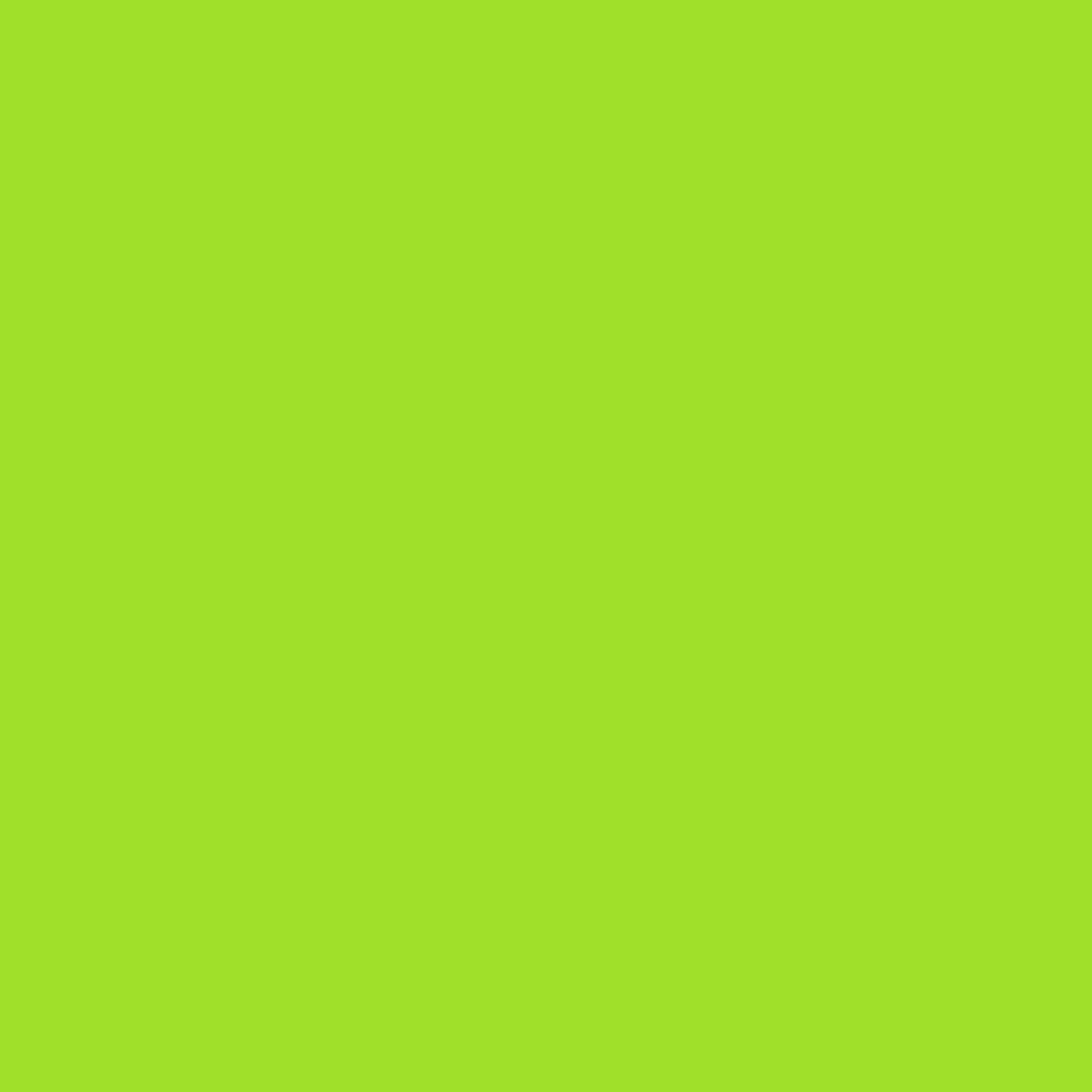 Realbrush PRO Neon Yellow Green 0210