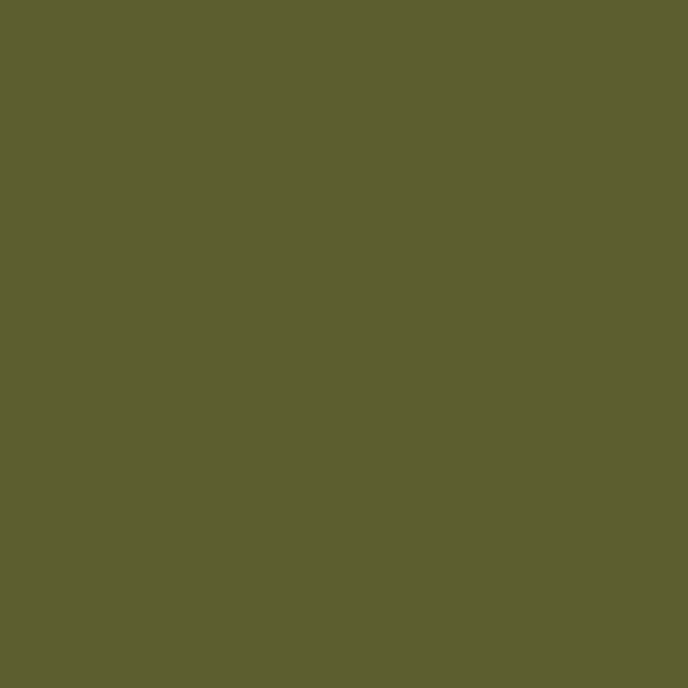 Realbrush Pigment Olive Green 371U