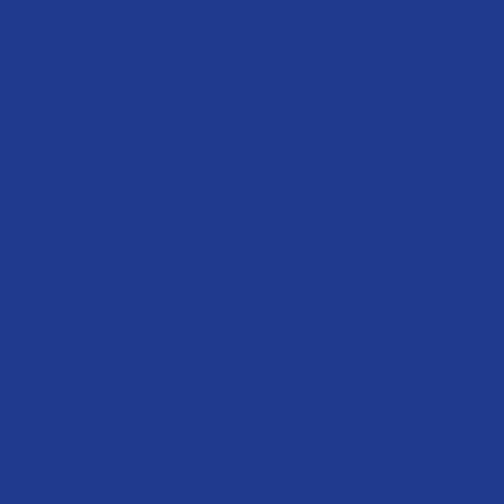 Realbrush PRO Royal Blue 045