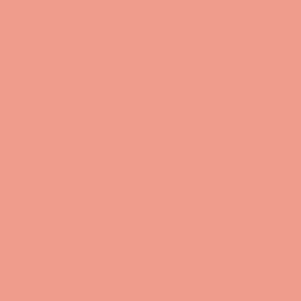 Realbrush Pigment Salmon Pink 1635U