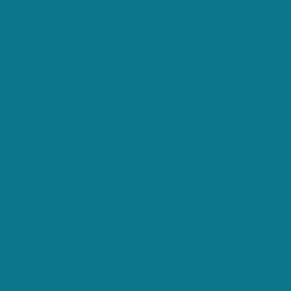 Realbrush PRO Turquoise 654